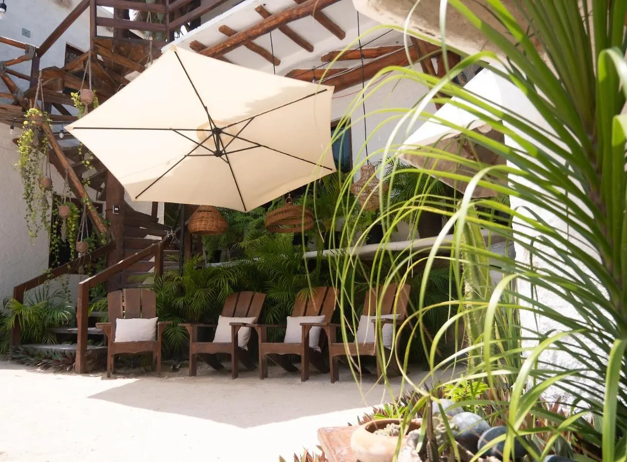 Arte Sano Vegan Hotel Holbox