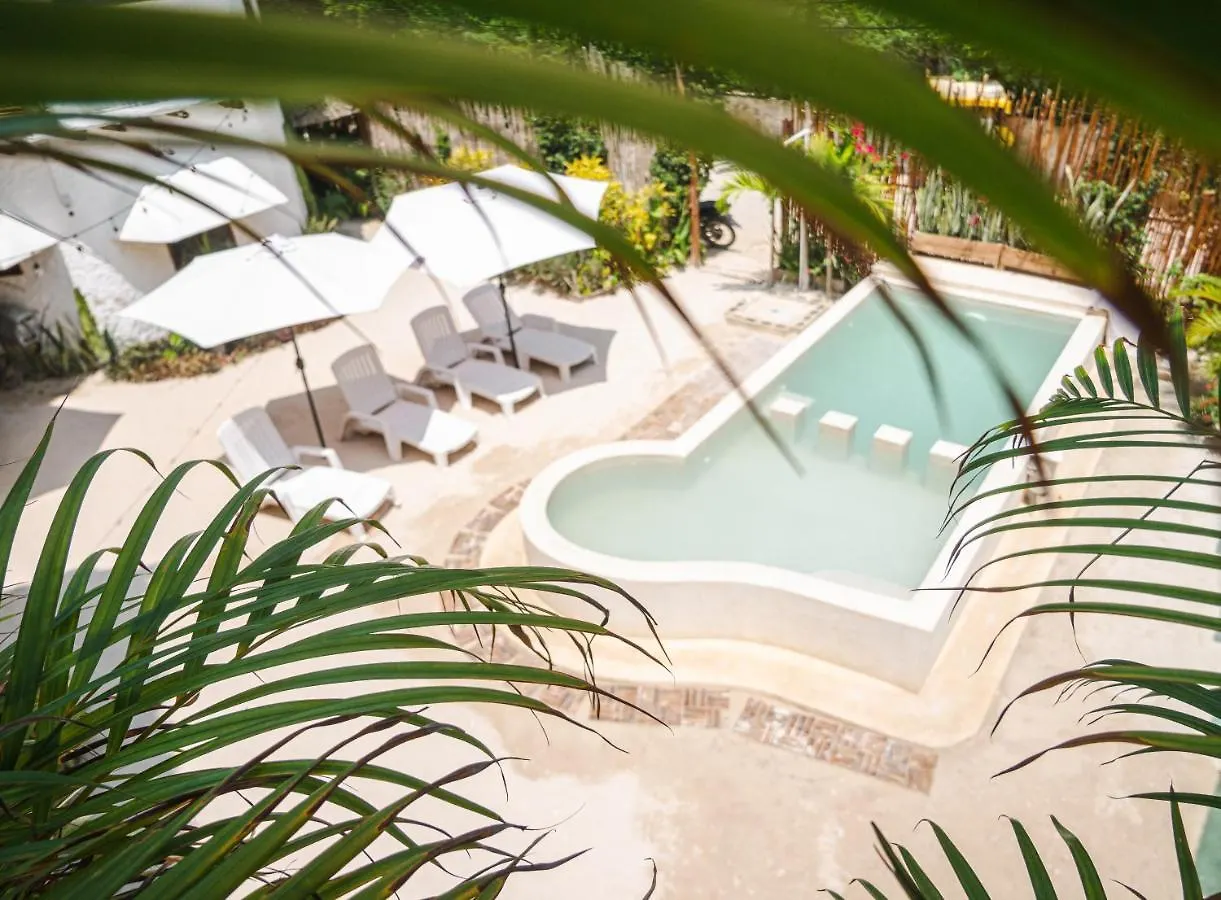 Arte Sano Vegan Hotel Holbox 3*, Isla Holbox