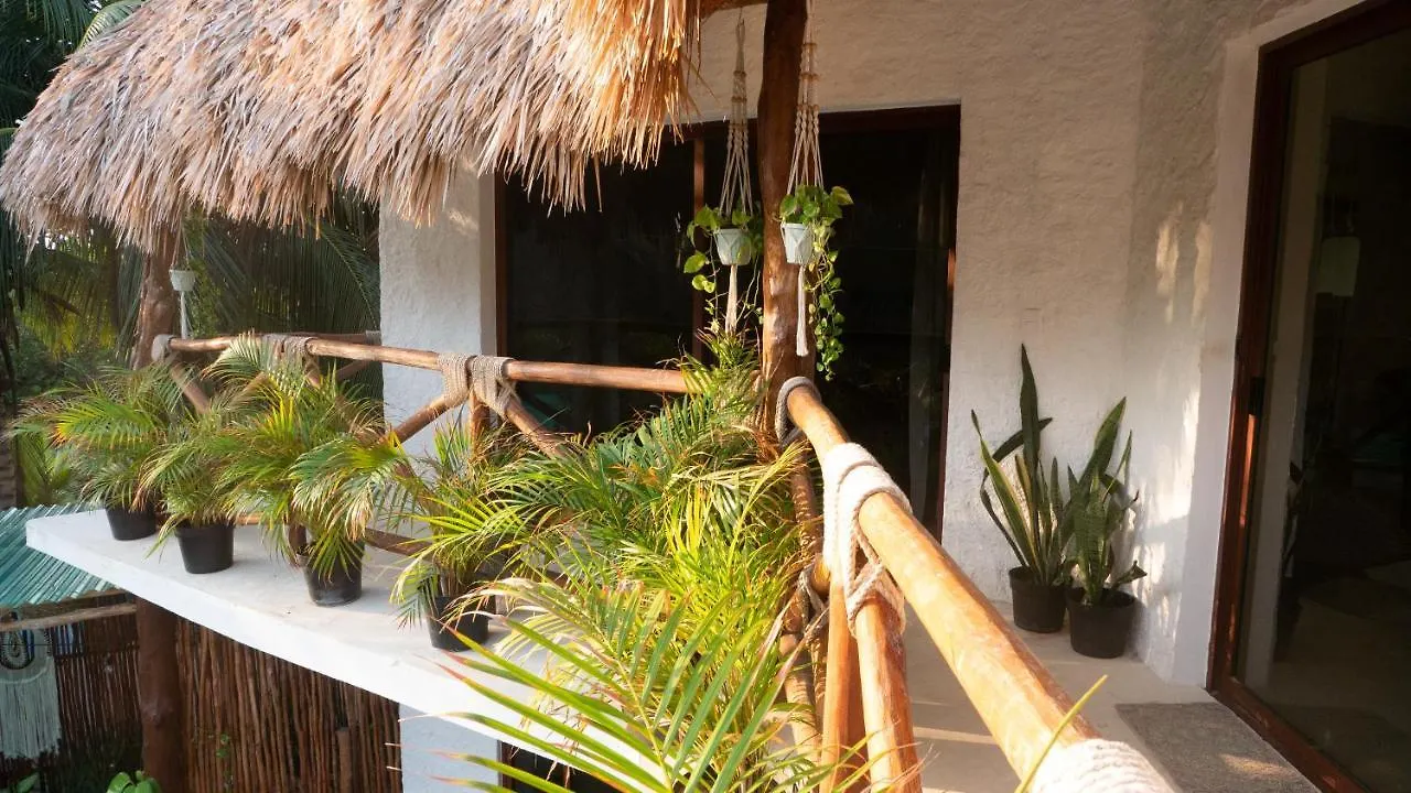 Arte Sano Vegan Hotel Holbox