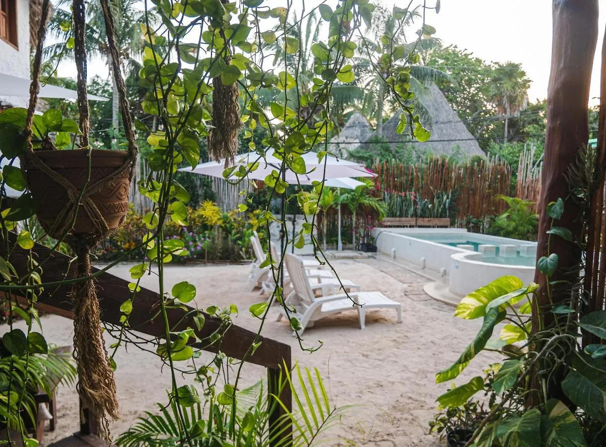 Arte Sano Vegan Hotel Holbox 3*, Isla Holbox México