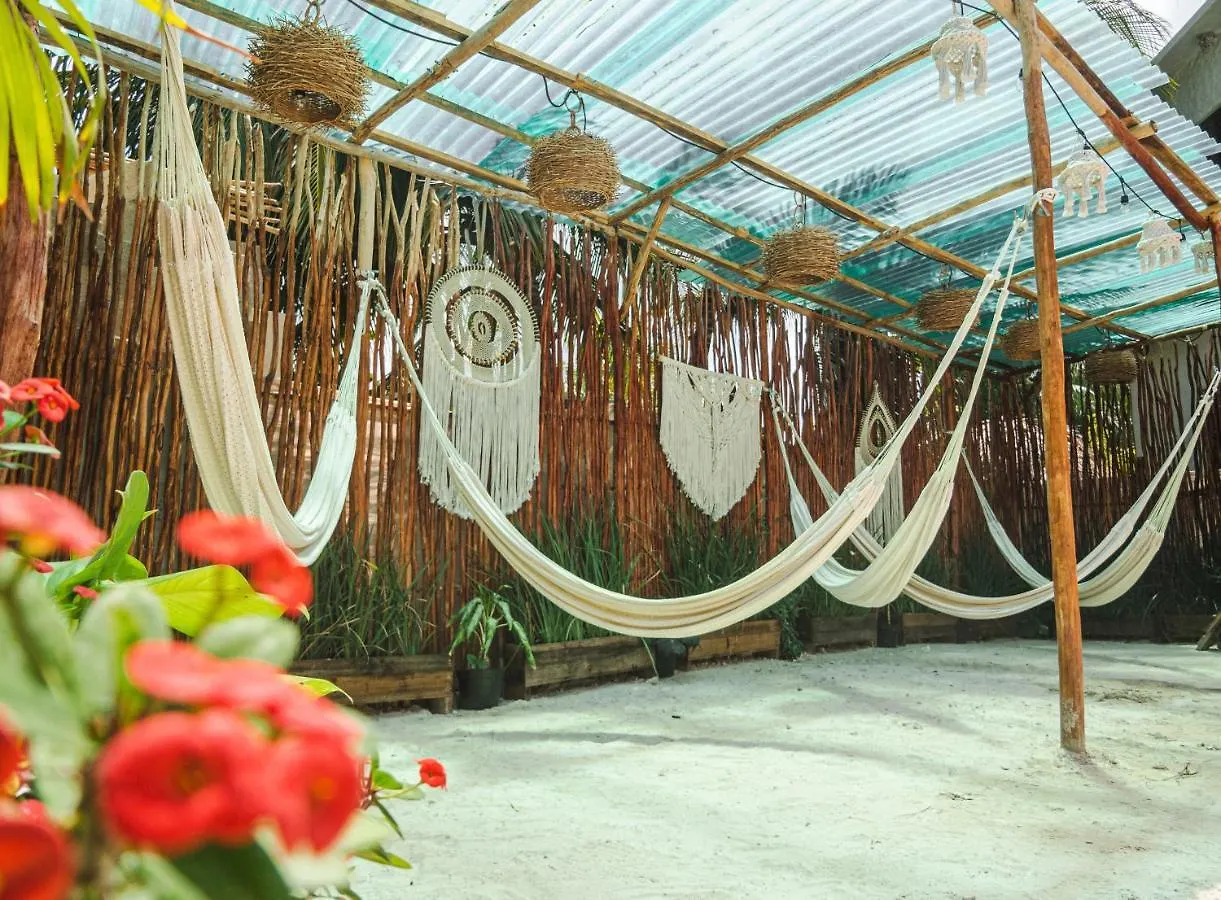 ***  Arte Sano Vegan Hotel Holbox México