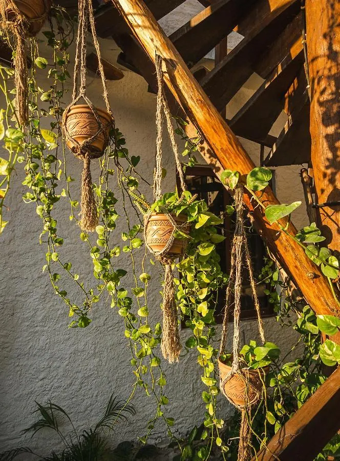 Arte Sano Hotel Only Adults - Near Beach Isla Holbox