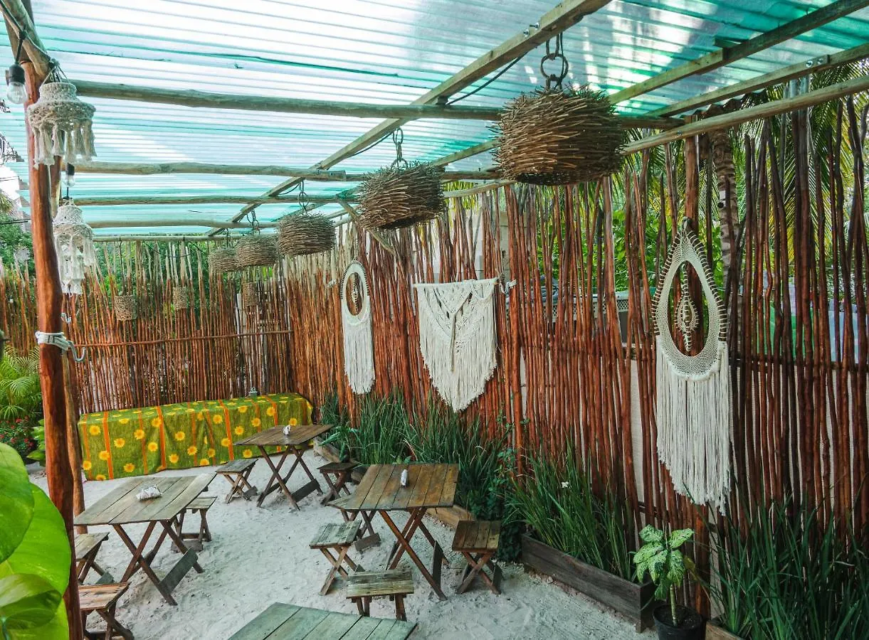 Arte Sano Vegan Hotel Holbox Isla Holbox