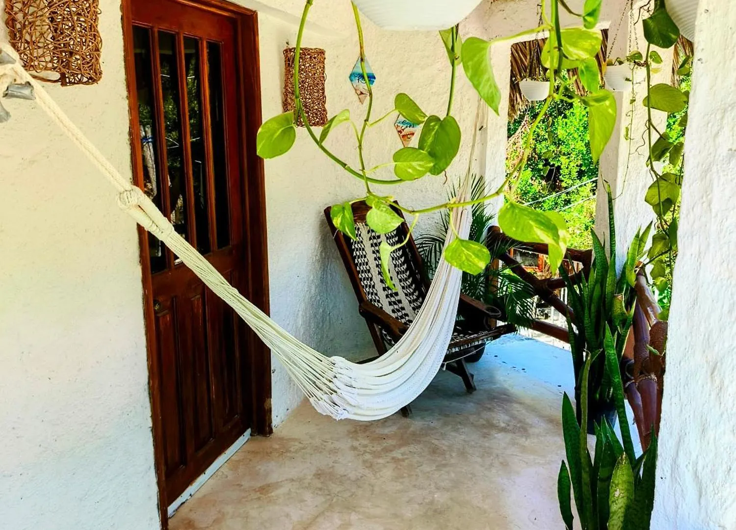 Arte Sano Vegan Hotel Holbox Isola Holbox