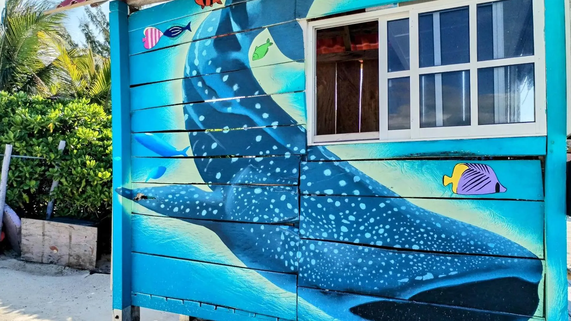 Arte Sano Vegan Hotel Holbox